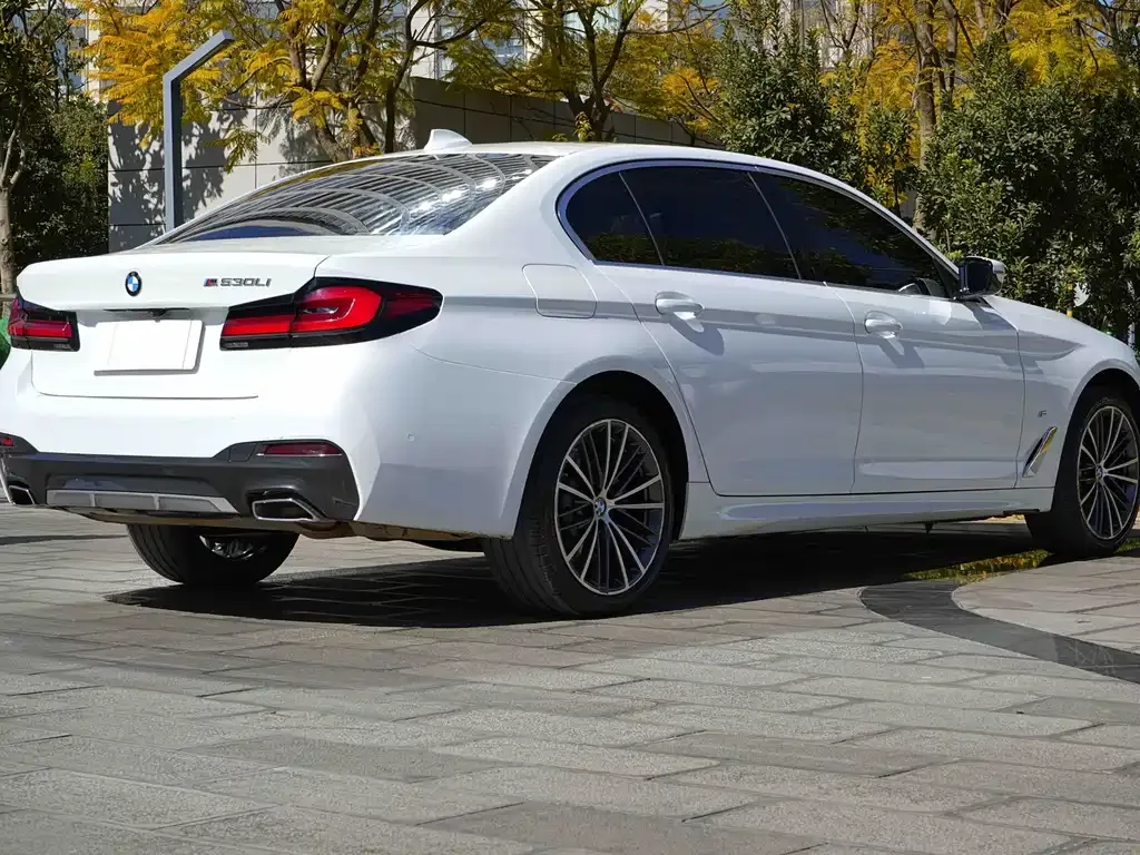 BMW 5 Series 2023 из CN, фото 10