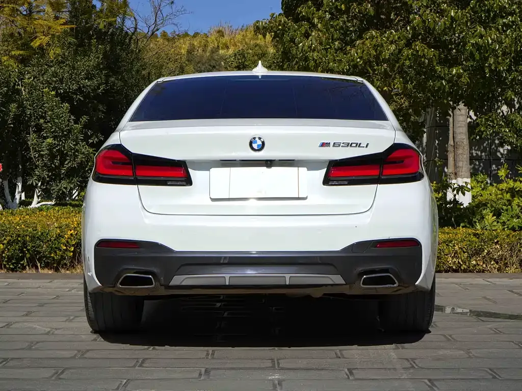 BMW 5 Series 2023 из CN, фото 5