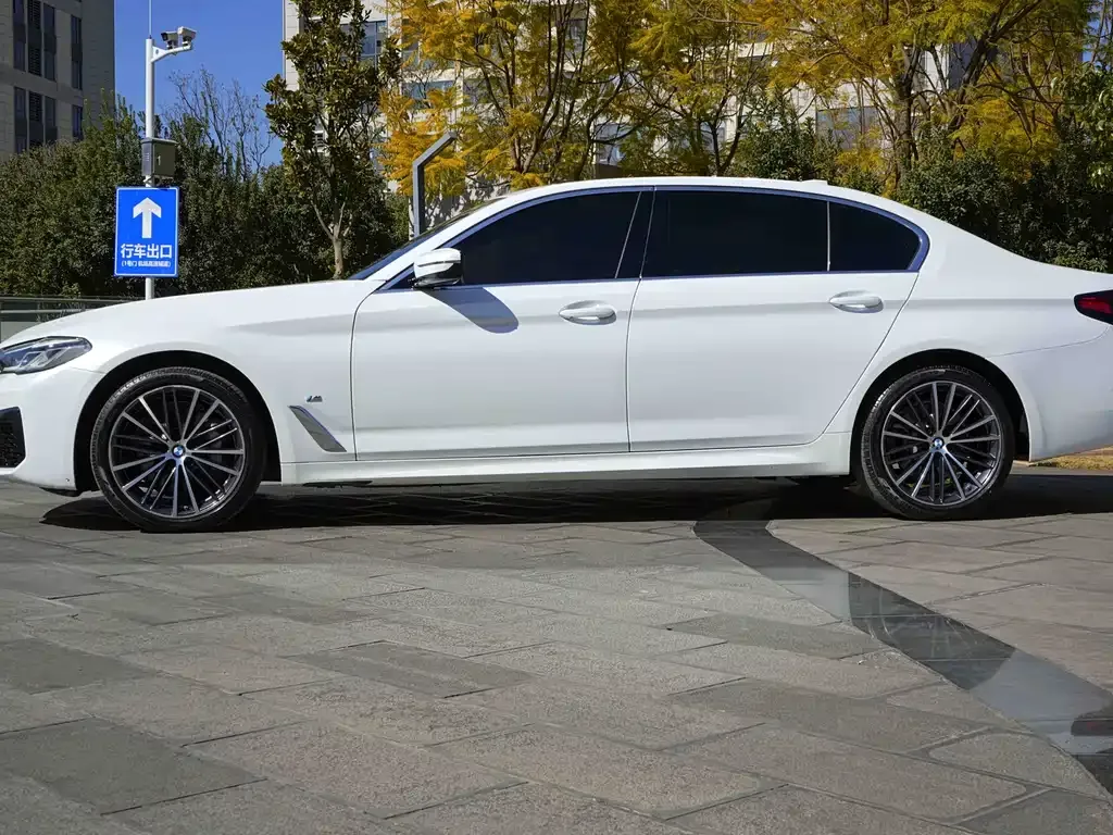 BMW 5 Series 2023 из CN, фото 7