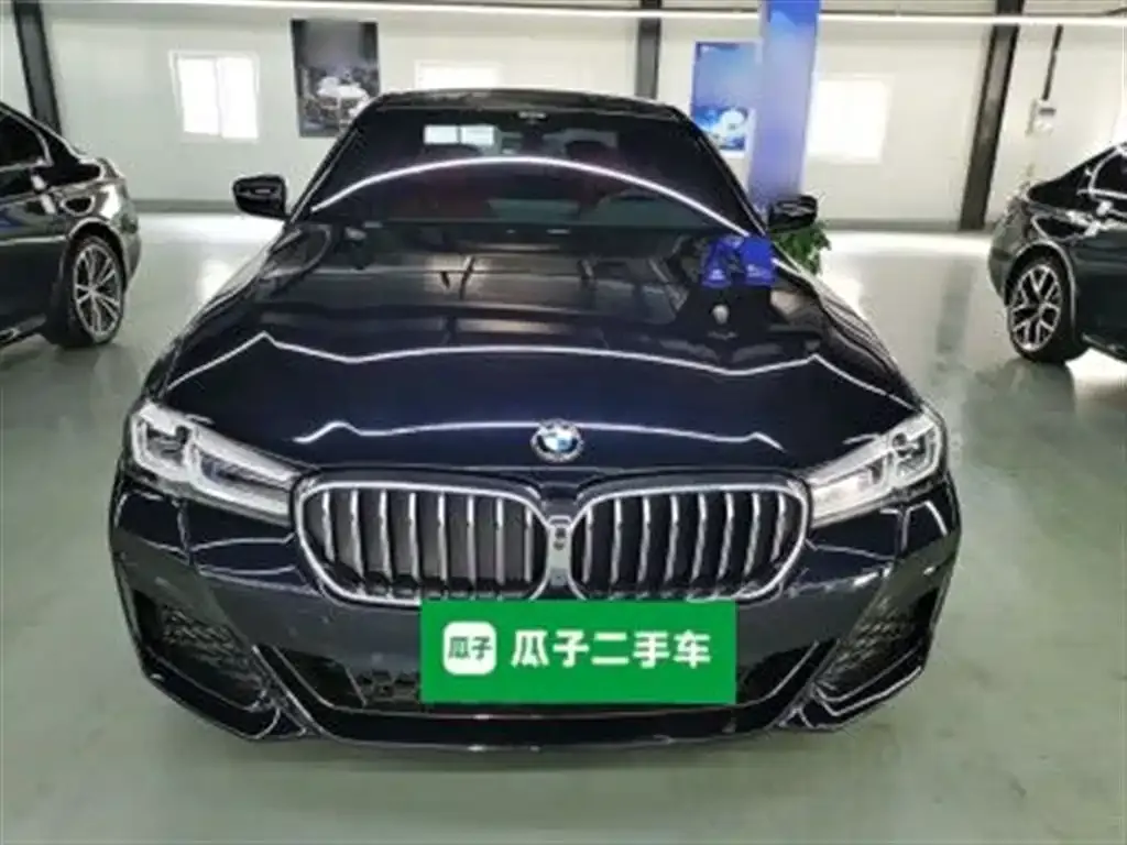 BMW 5 Series 2023 из CN, фото 2