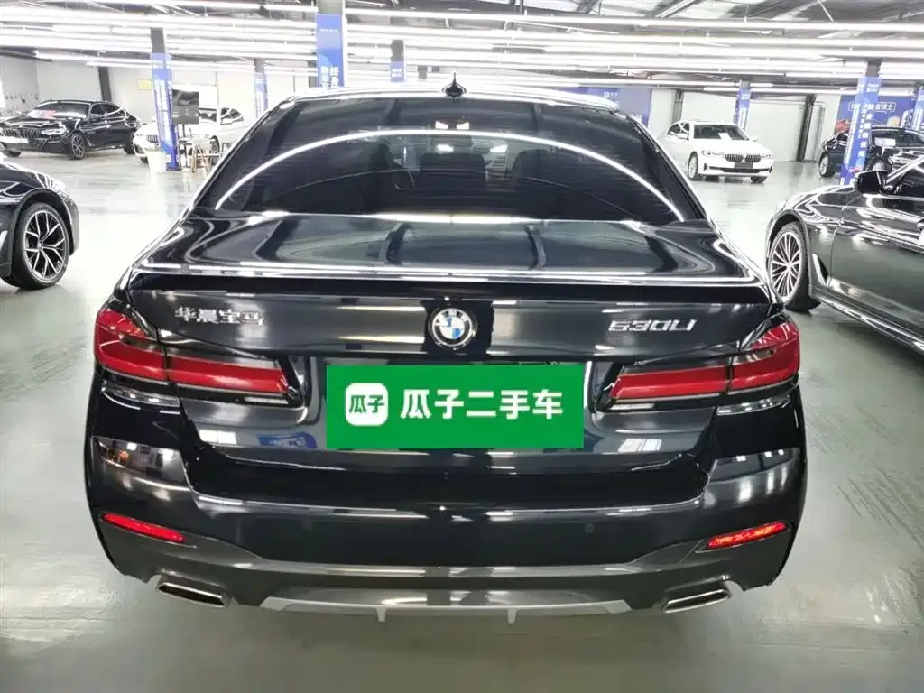 BMW 5 Series 2023 из CN, фото 7