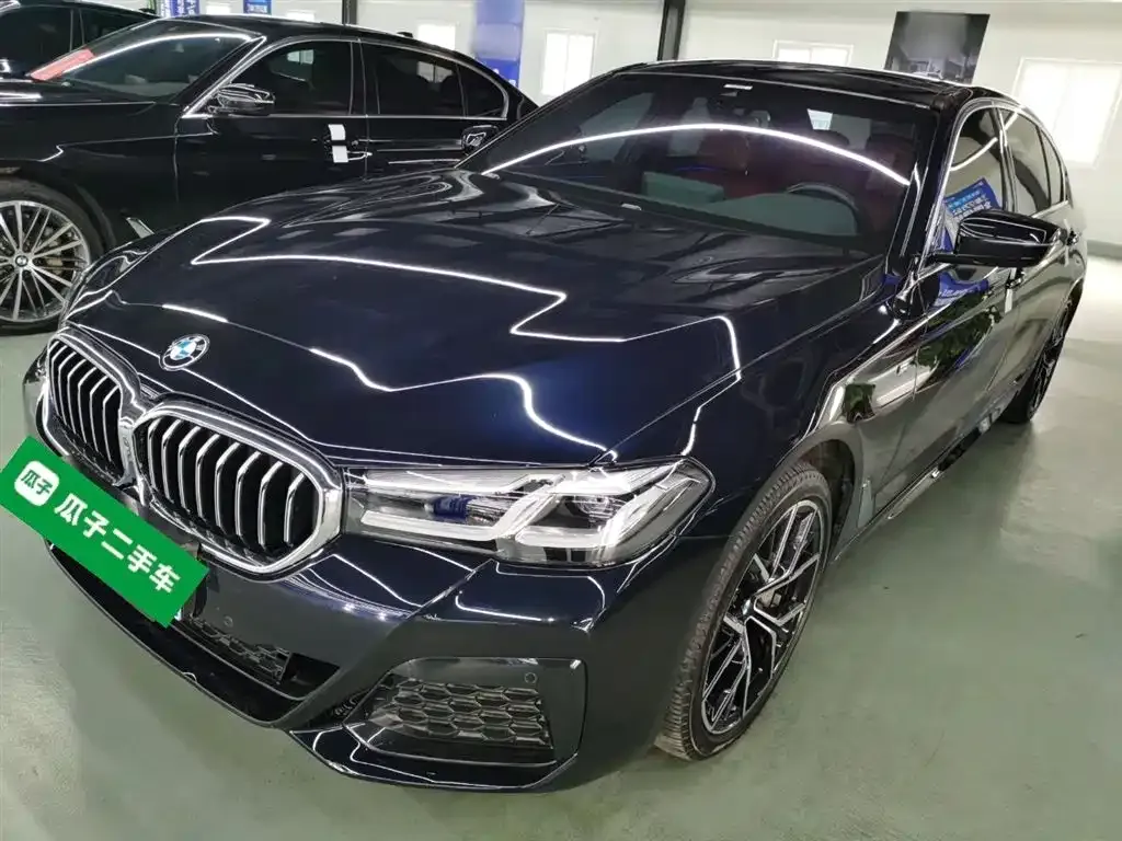 BMW 5 Series 2023 из CN, фото 6