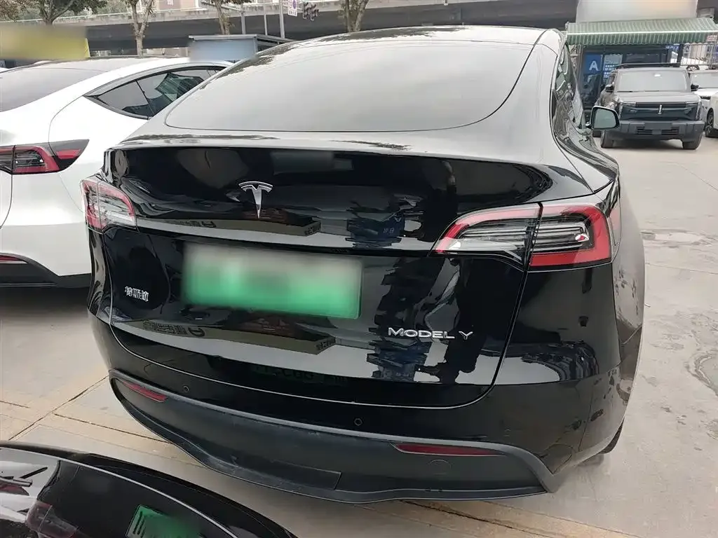 Tesla Model Y 2023 из CN, фото 6