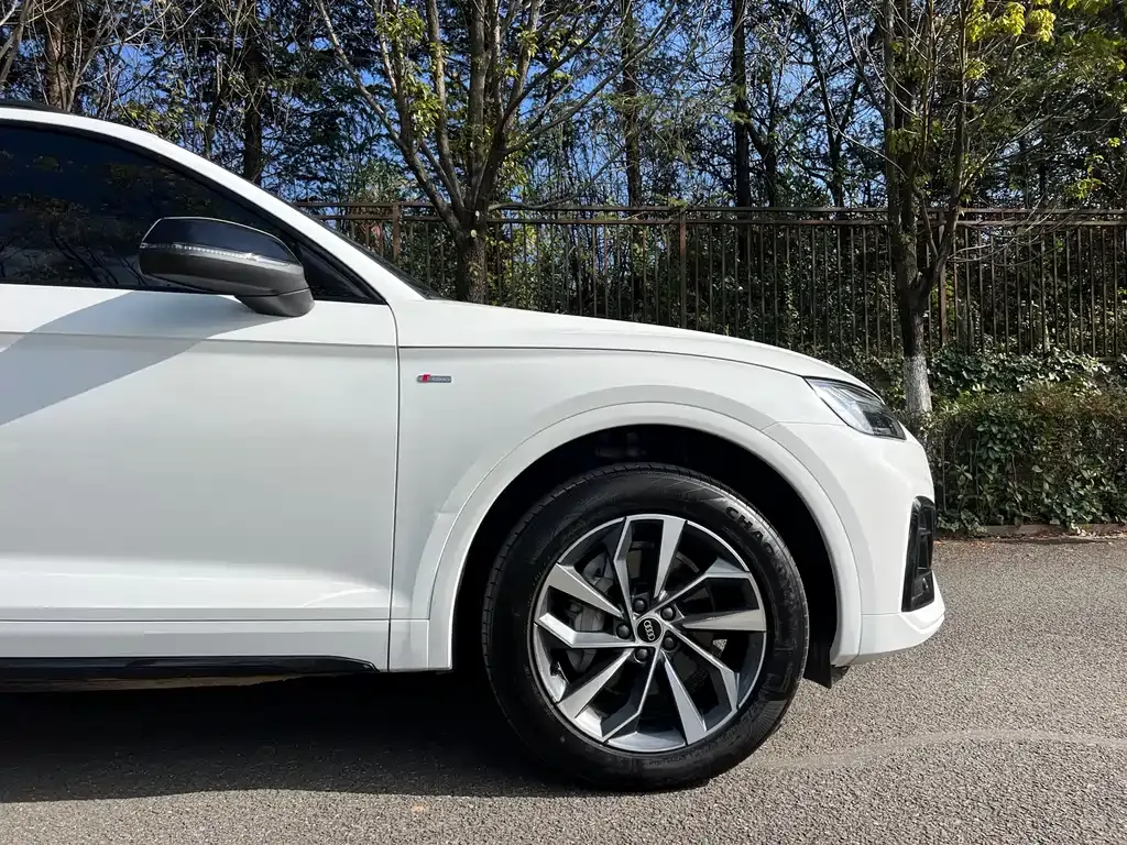 Audi Q5L 2023 из CN, фото 9