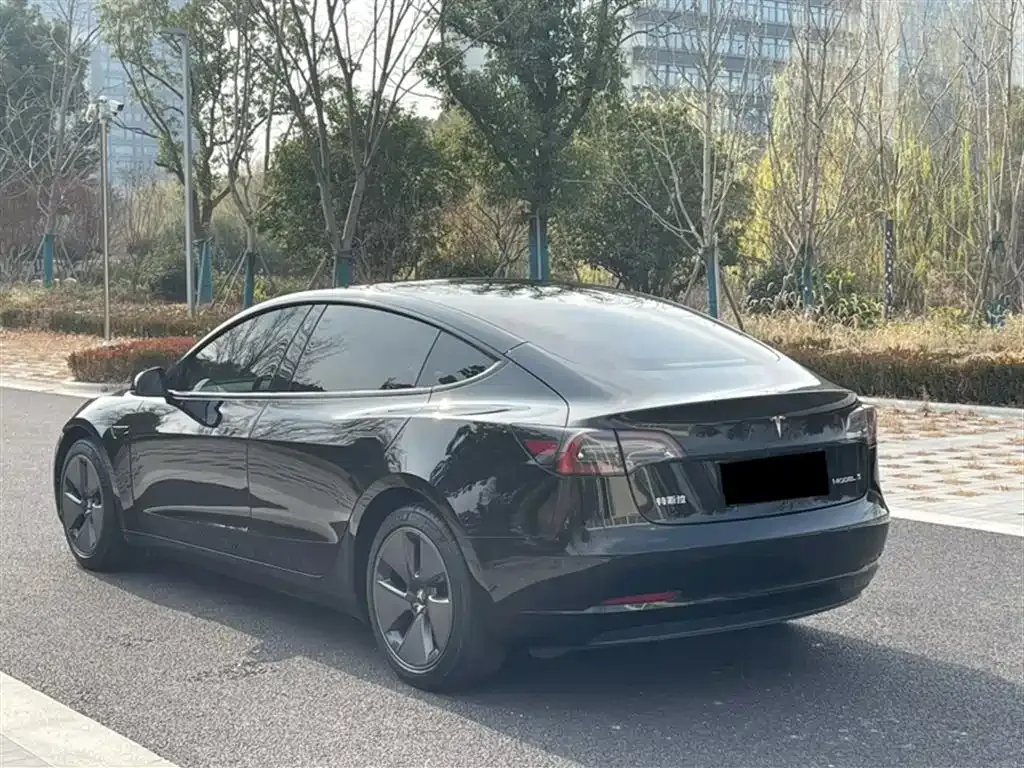 Tesla Model 3 2023 из CN, фото 4