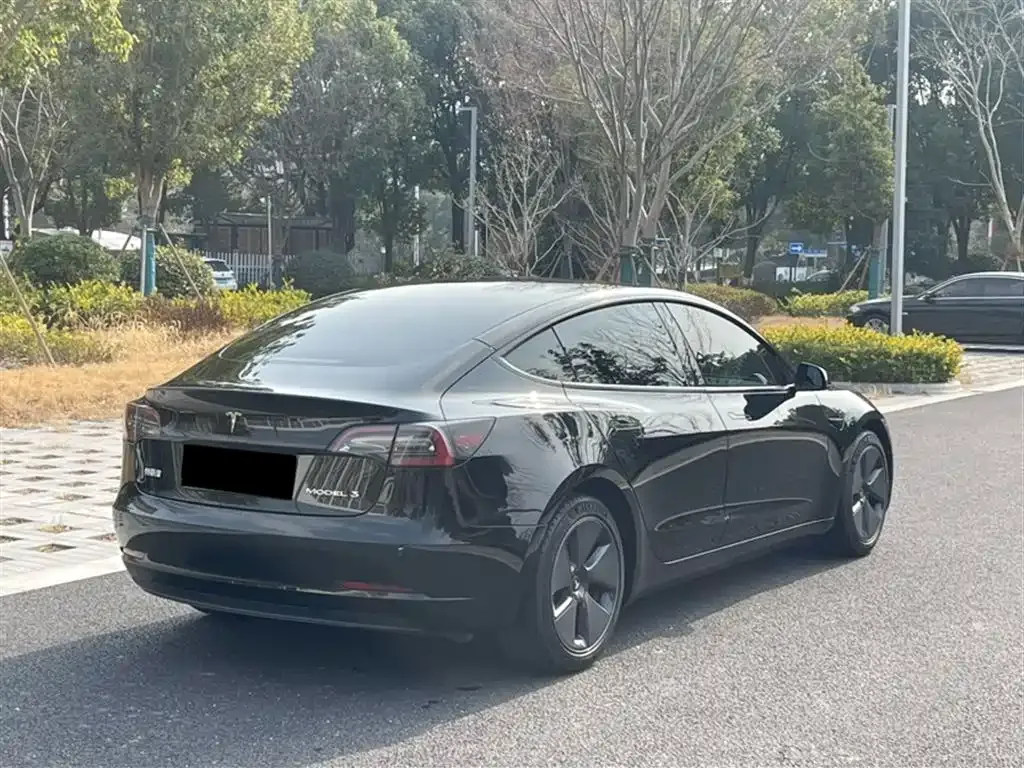 Tesla Model 3 2023 из CN, фото 6