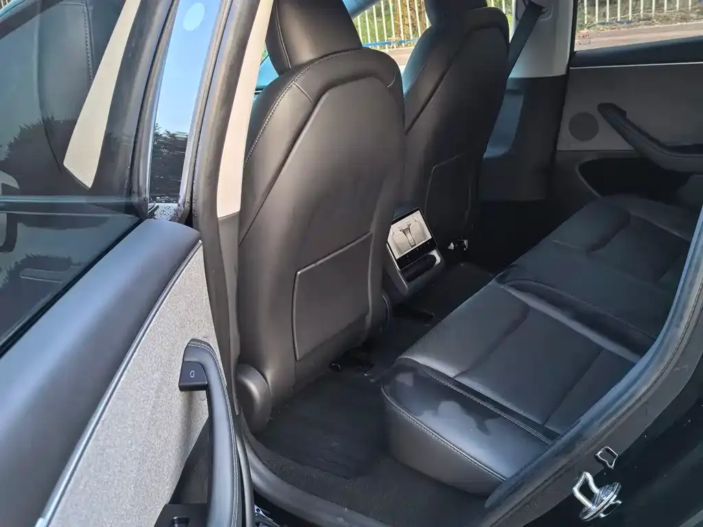 Tesla Model 3 2023 из CN, фото 2