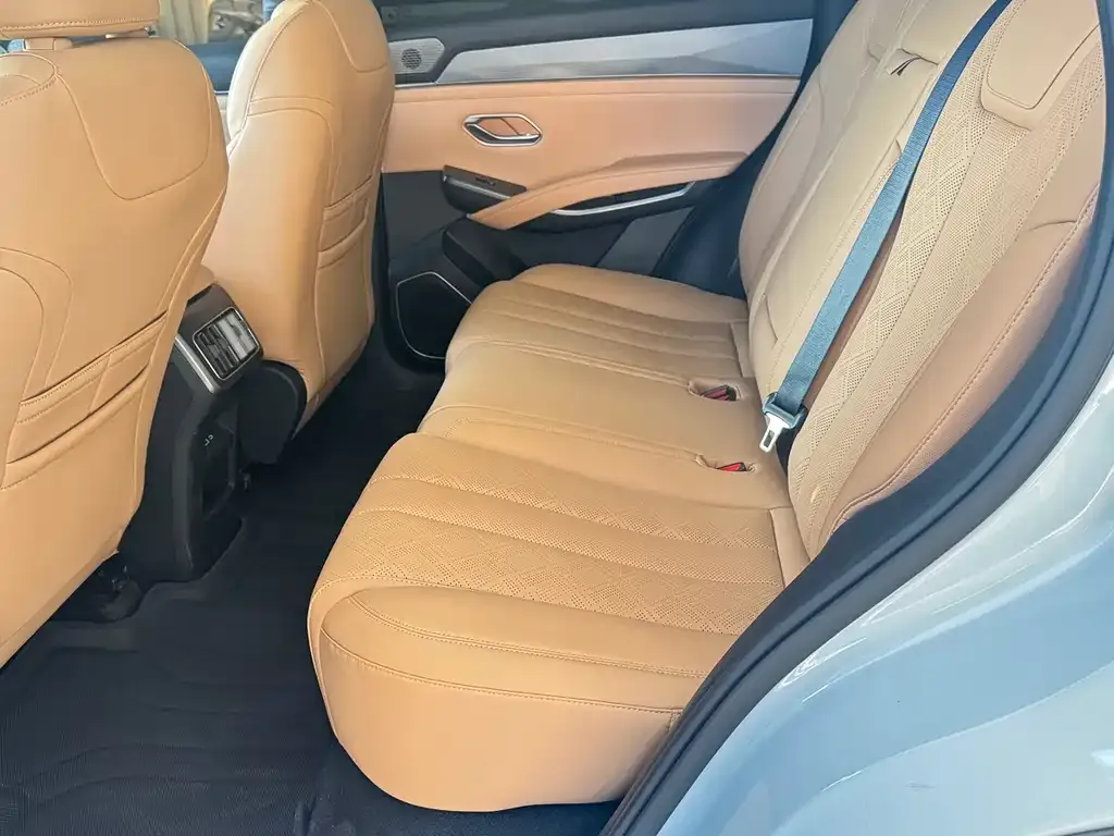 BYD L DM-i — фото 10