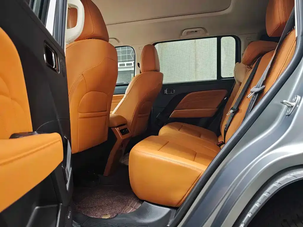 Haval Menglong New Energy 2024 из CN, фото 10