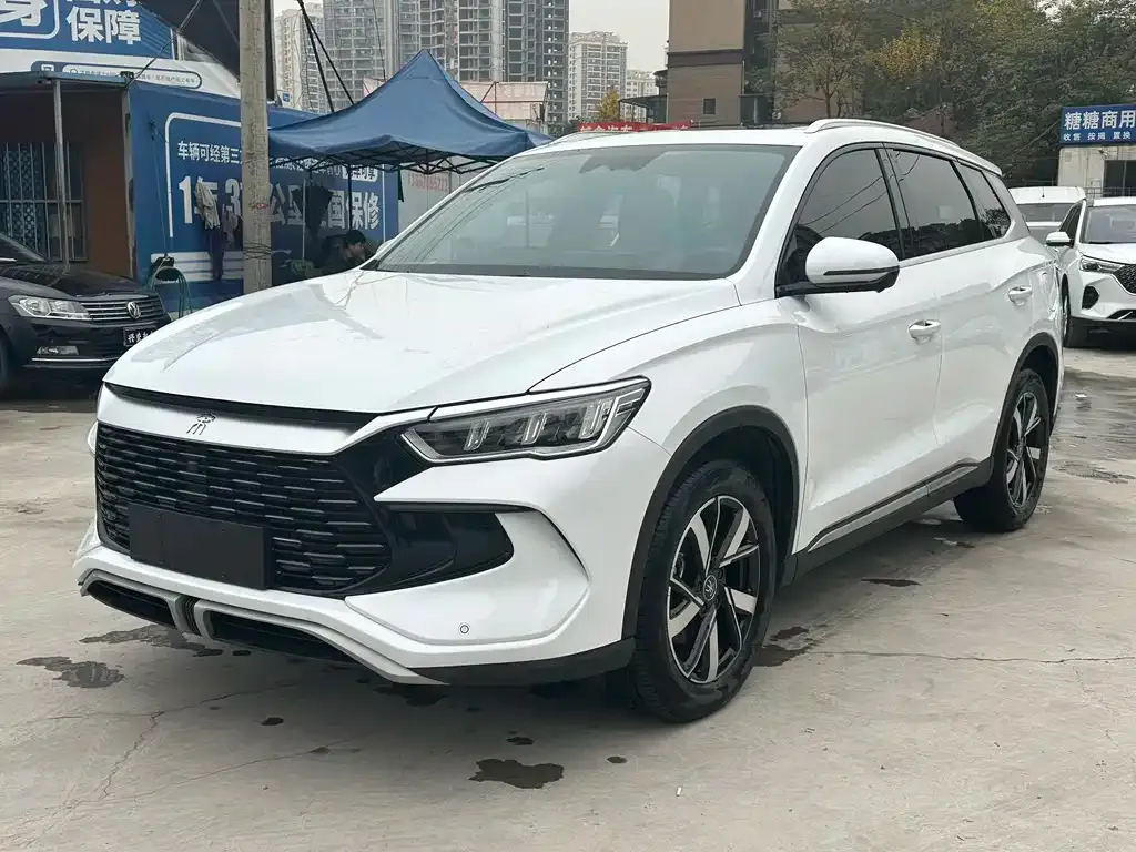 BYD Pro New Energy 2024 из CN, фото 1