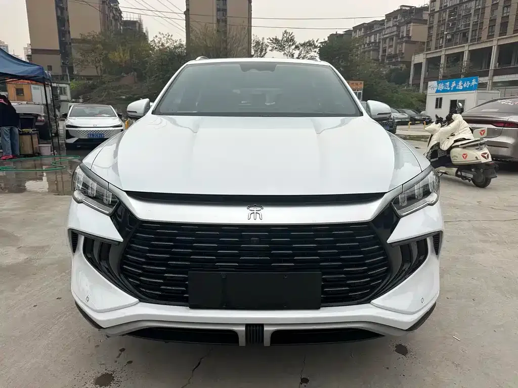 BYD Pro New Energy 2024 из CN, фото 8