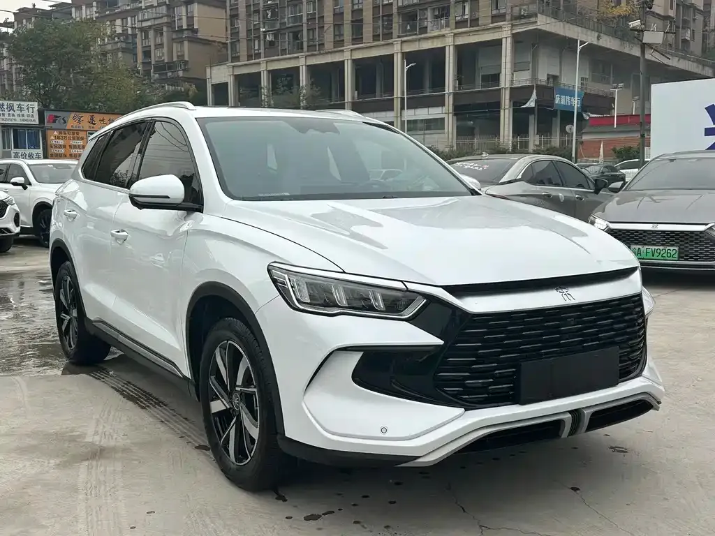 BYD Pro New Energy 2024 из CN, фото 10