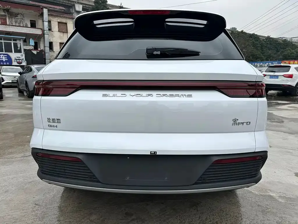 BYD Pro New Energy 2024 из CN, фото 9