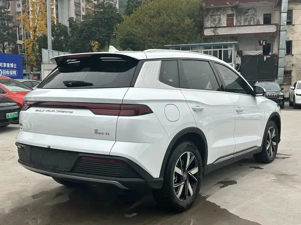 BYD Pro New Energy 2024 из CN, фото 6
