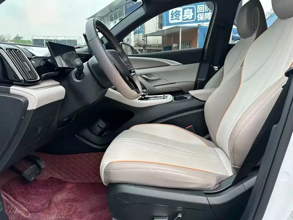 BYD Pro New Energy 2024 из CN, фото 5