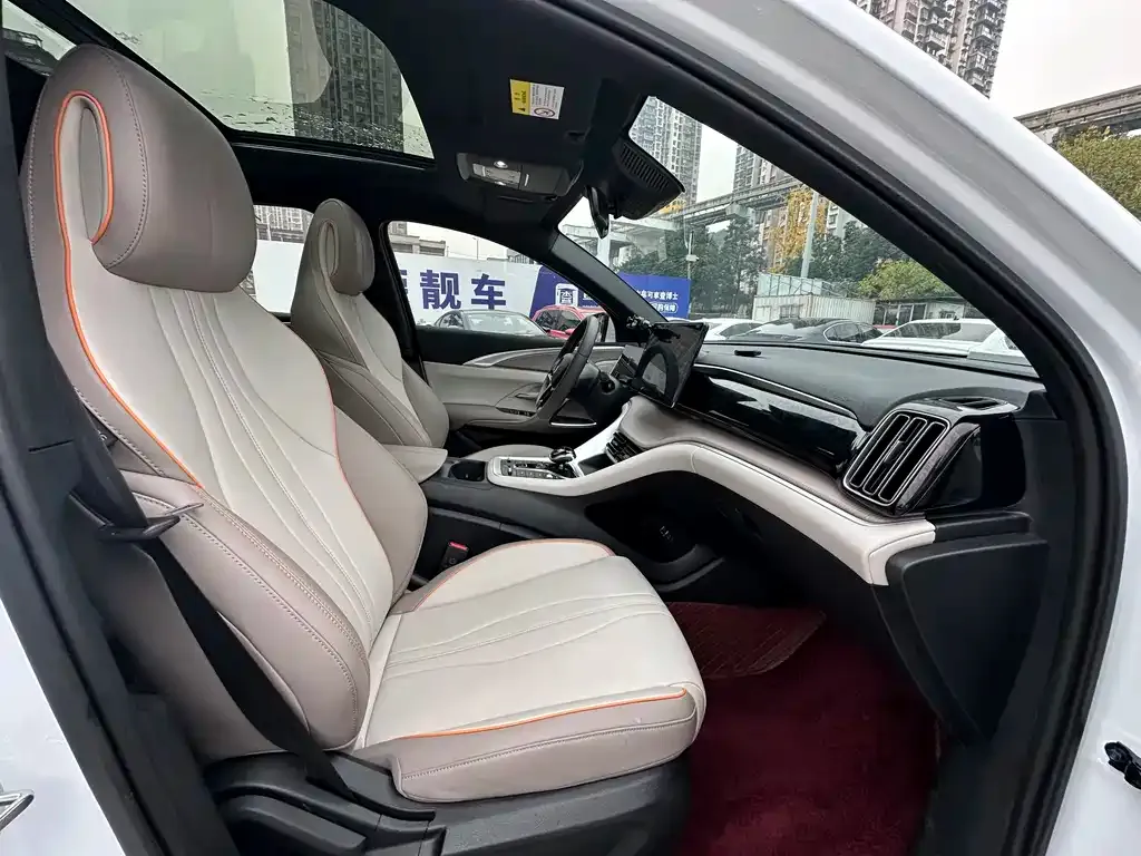 BYD Pro New Energy 2024 из CN, фото 4