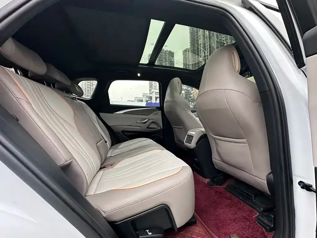 BYD Pro New Energy 2024 из CN, фото 2