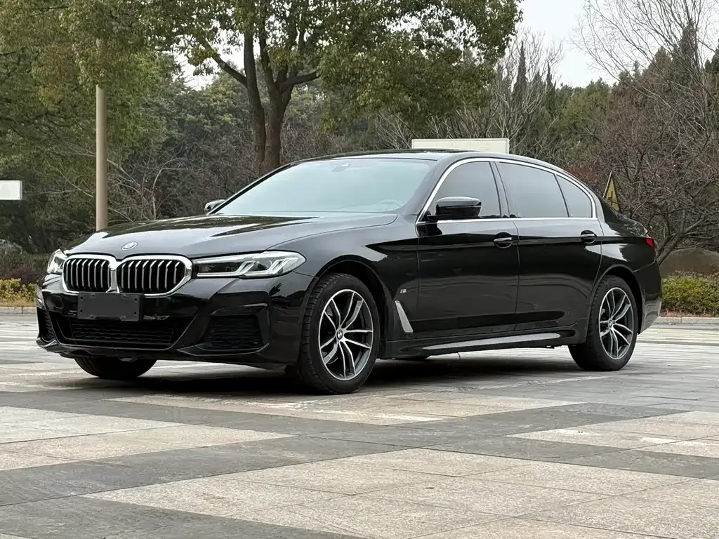 BMW 5 Series 2021 из CN, фото 1