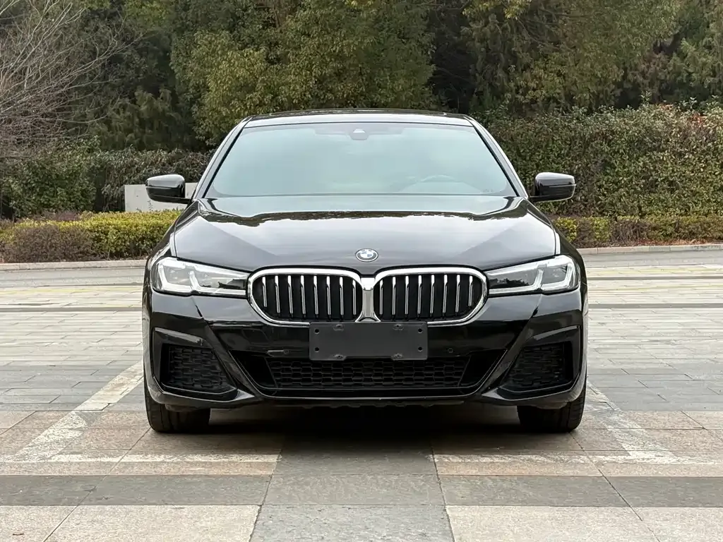 BMW 5 Series 2021 из CN, фото 5