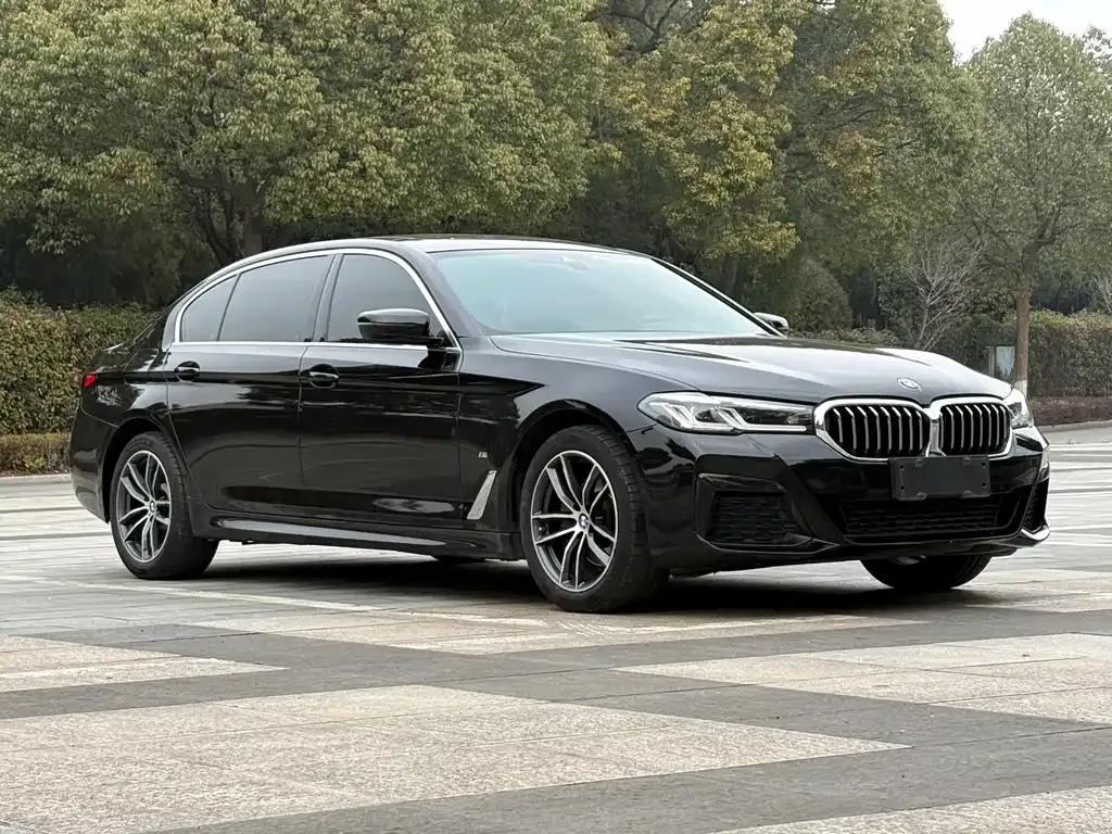 BMW 5 Series 2021 из CN, фото 4