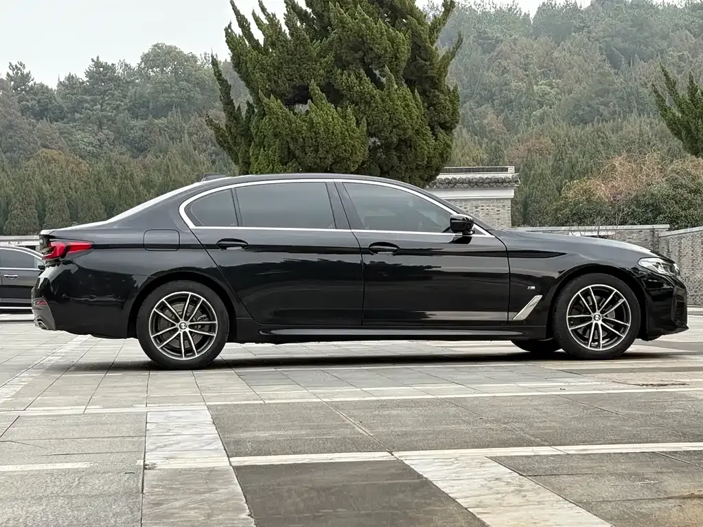 BMW 5 Series 2021 из CN, фото 10