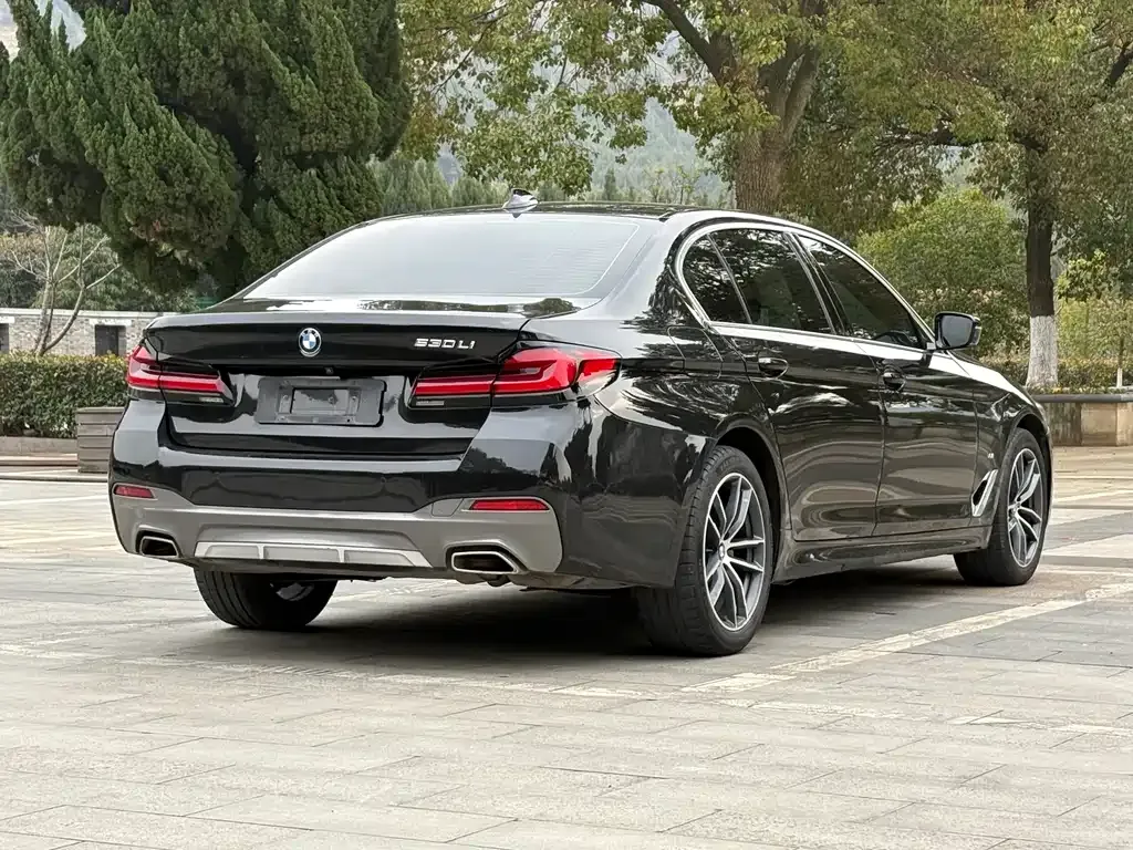 BMW 5 Series 2021 из CN, фото 6