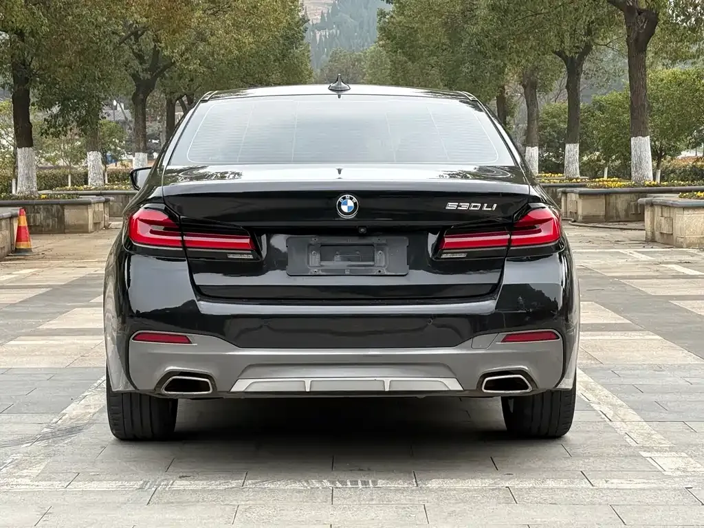 BMW 5 Series 2021 из CN, фото 3