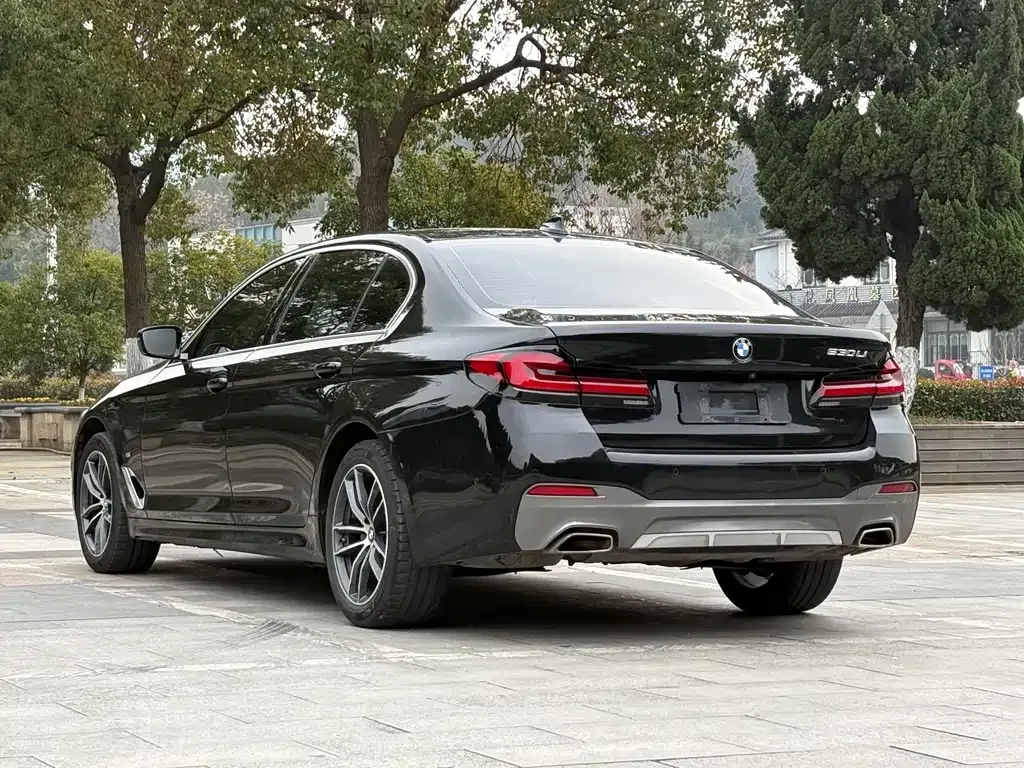 BMW 5 Series 2021 из CN, фото 9