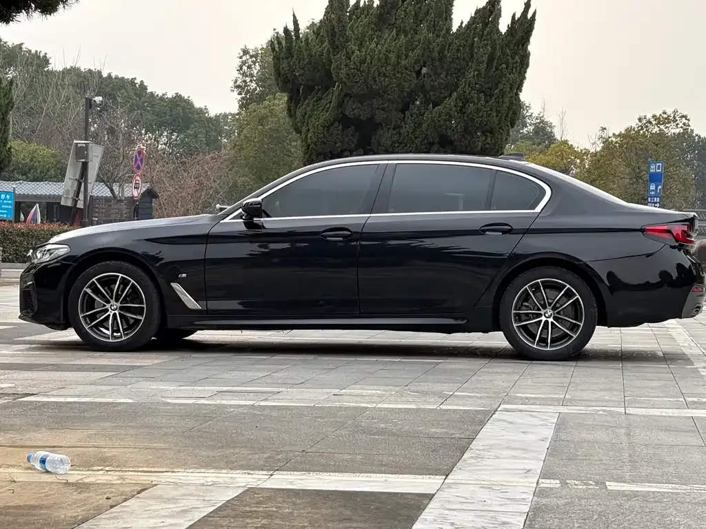 BMW 5 Series 2021 из CN, фото 8