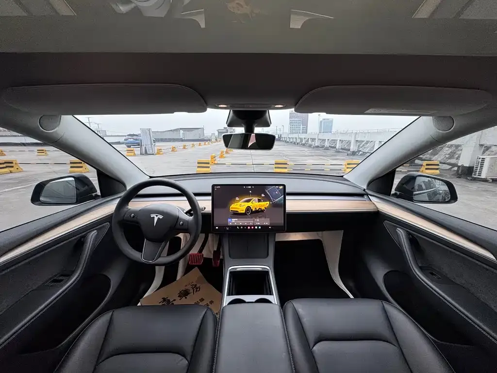 Tesla Model Y — фото 10