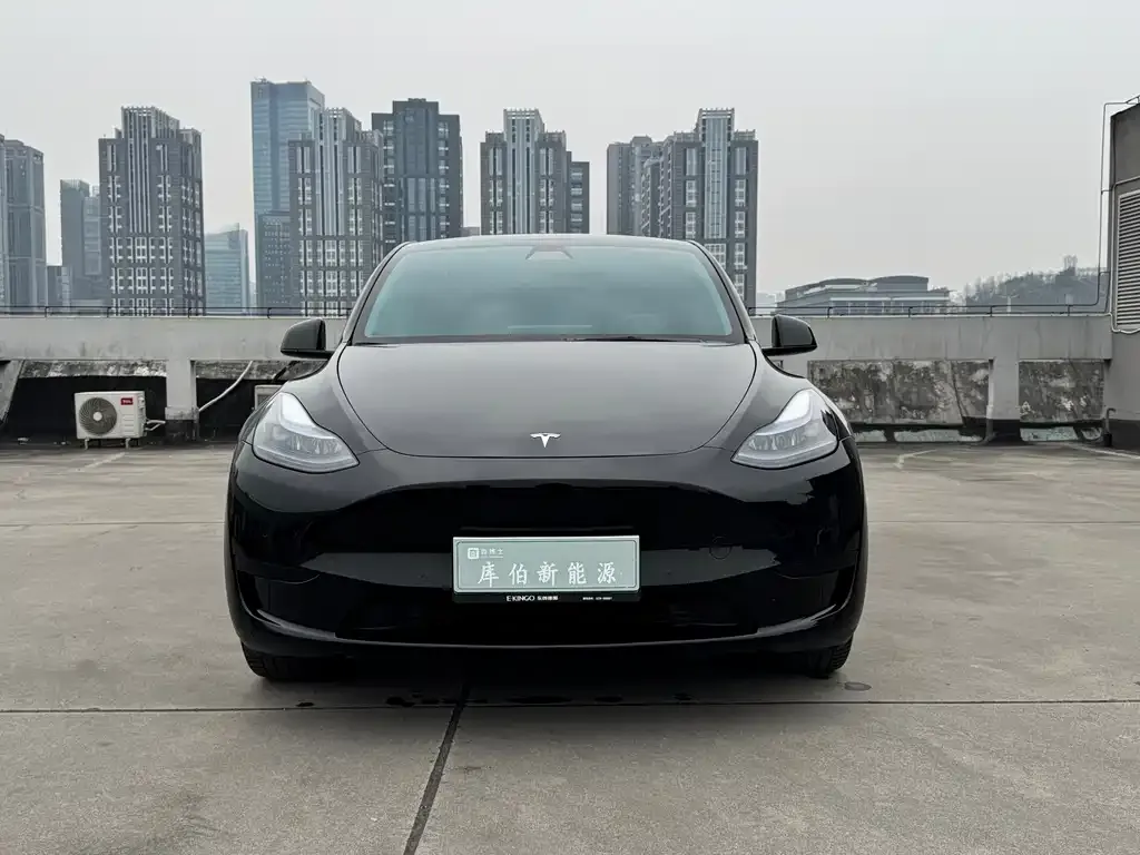 Tesla Model Y — фото 4