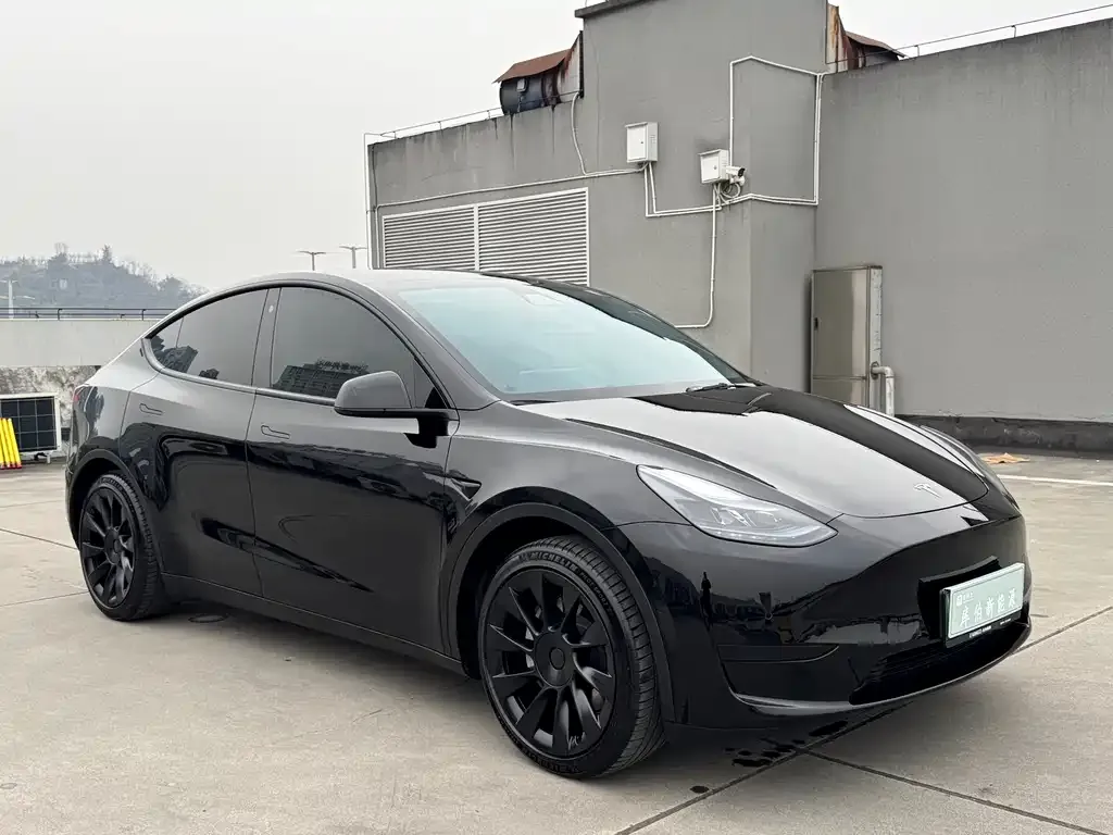 Tesla Model Y — фото 7