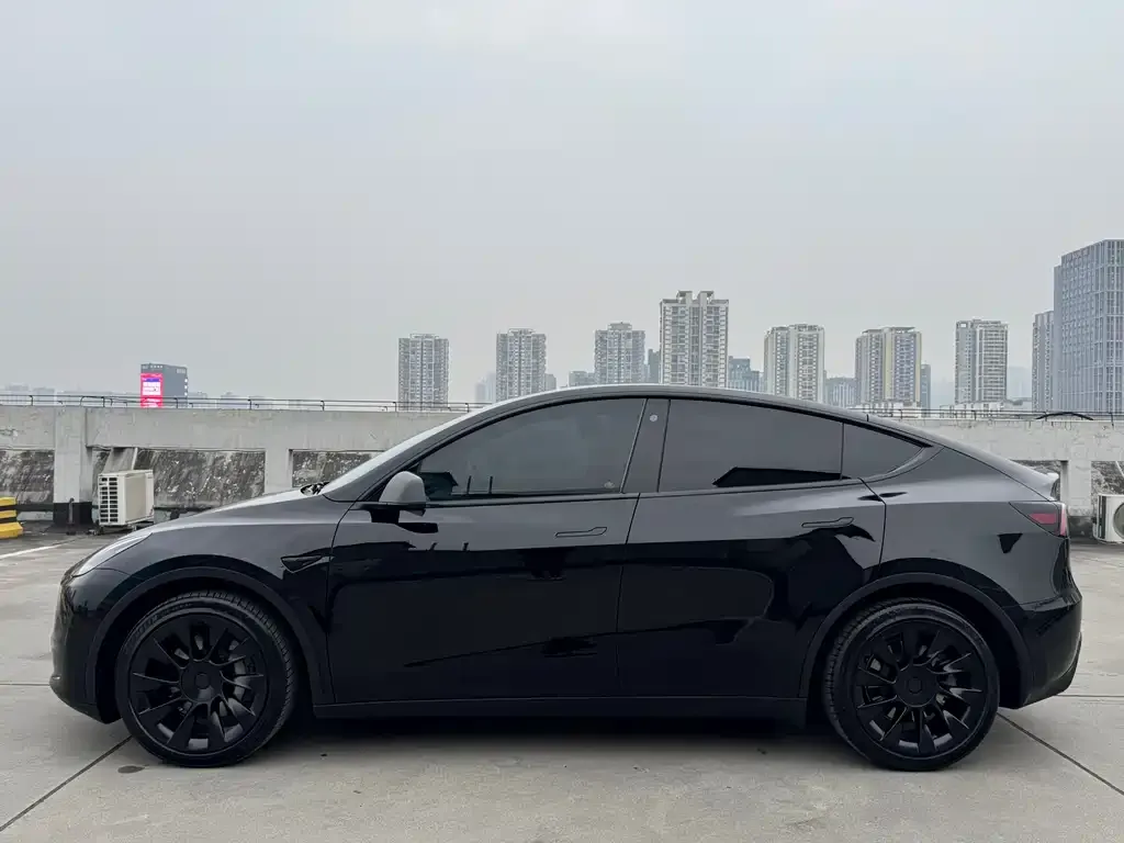 Tesla Model Y — фото 3