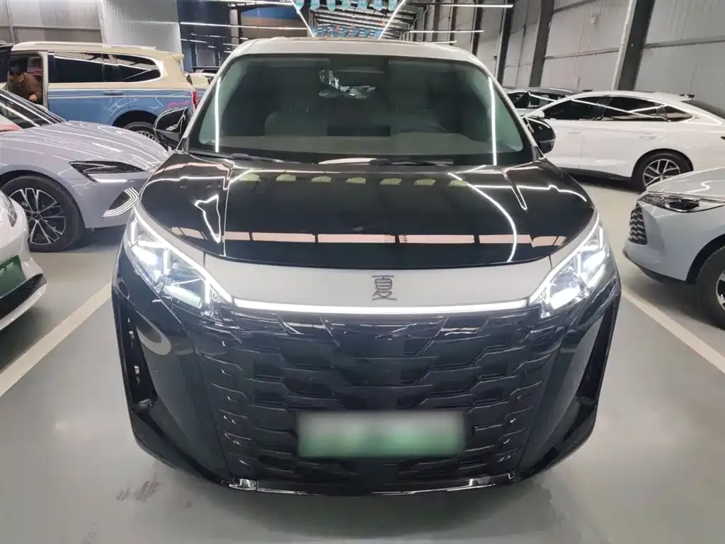 BYD Xia 2025 из CN, фото 2