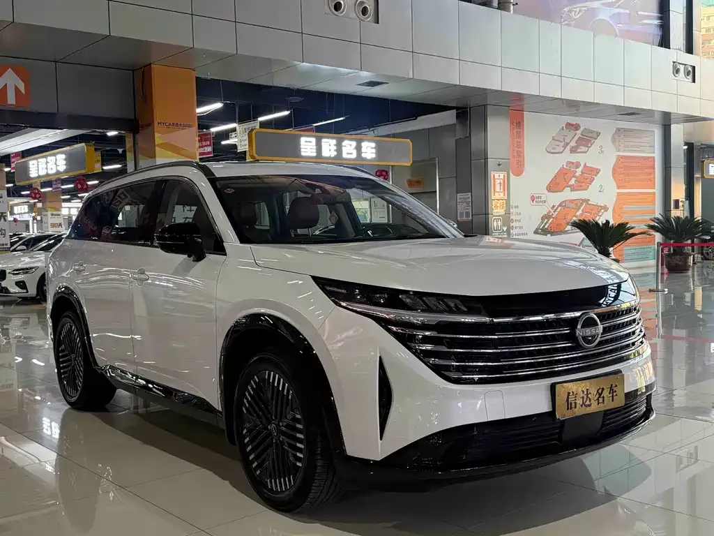 Nissan Teramont 2024 из CN, фото 3