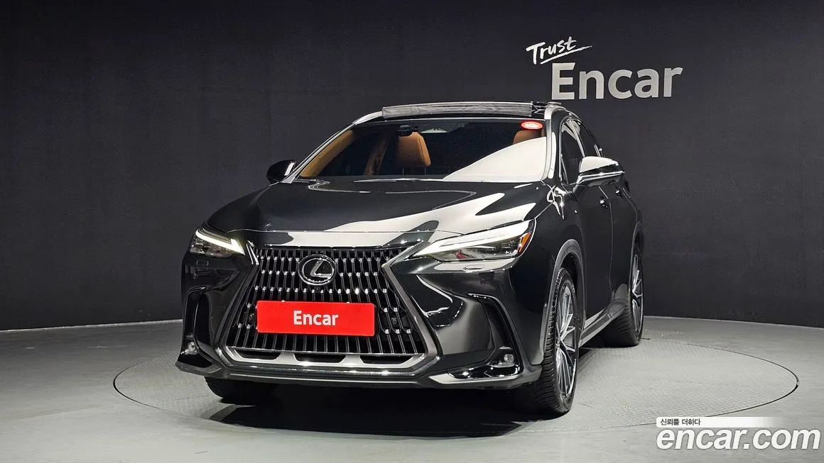 Lexus NX 2025 из KR, фото 2