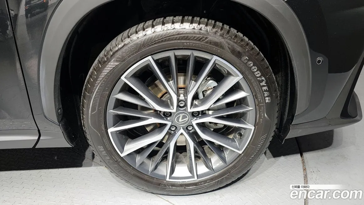 Lexus NX 2025 из KR, фото 5