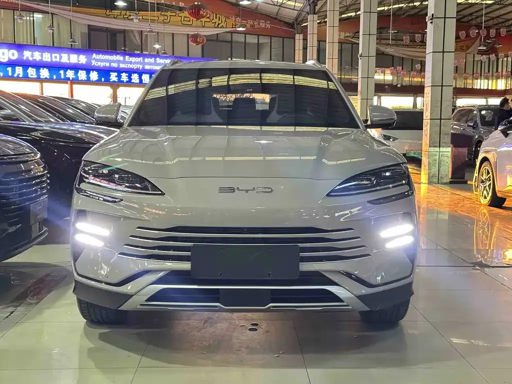 BYD PLUS New Energy 2023 из CN, фото 7