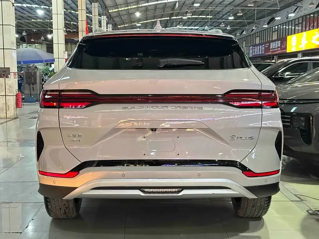 BYD PLUS New Energy 2023 из CN, фото 8