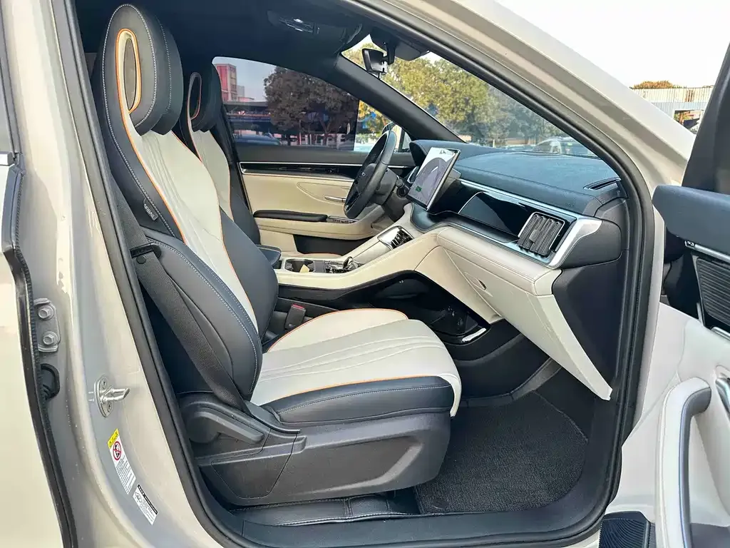 BYD PLUS New Energy 2023 из CN, фото 6