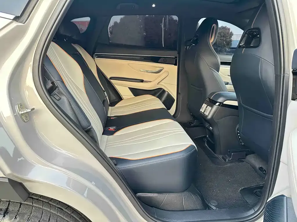 BYD PLUS New Energy 2023 из CN, фото 3