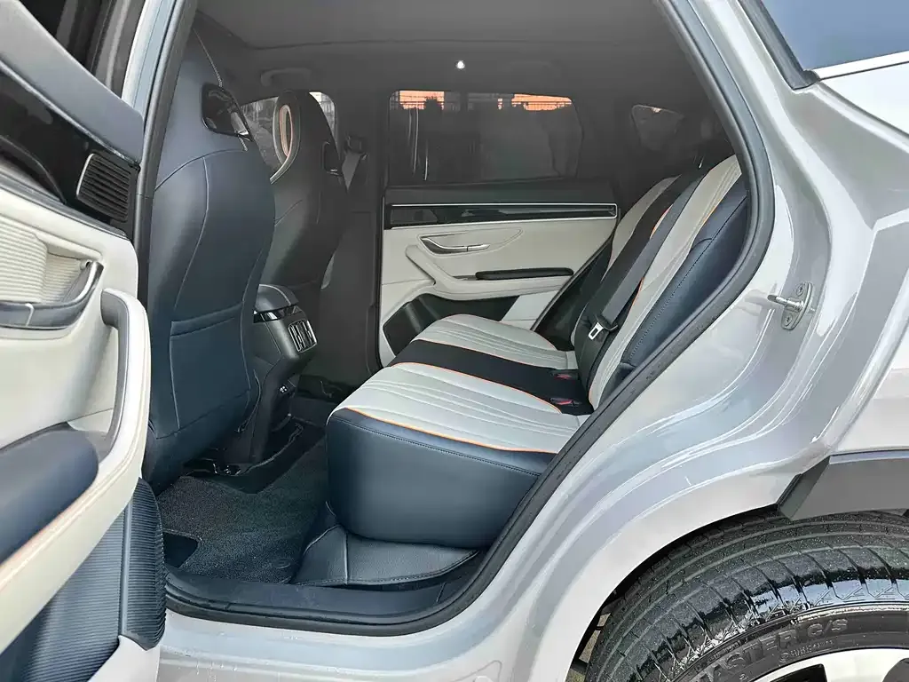 BYD PLUS New Energy 2023 из CN, фото 4