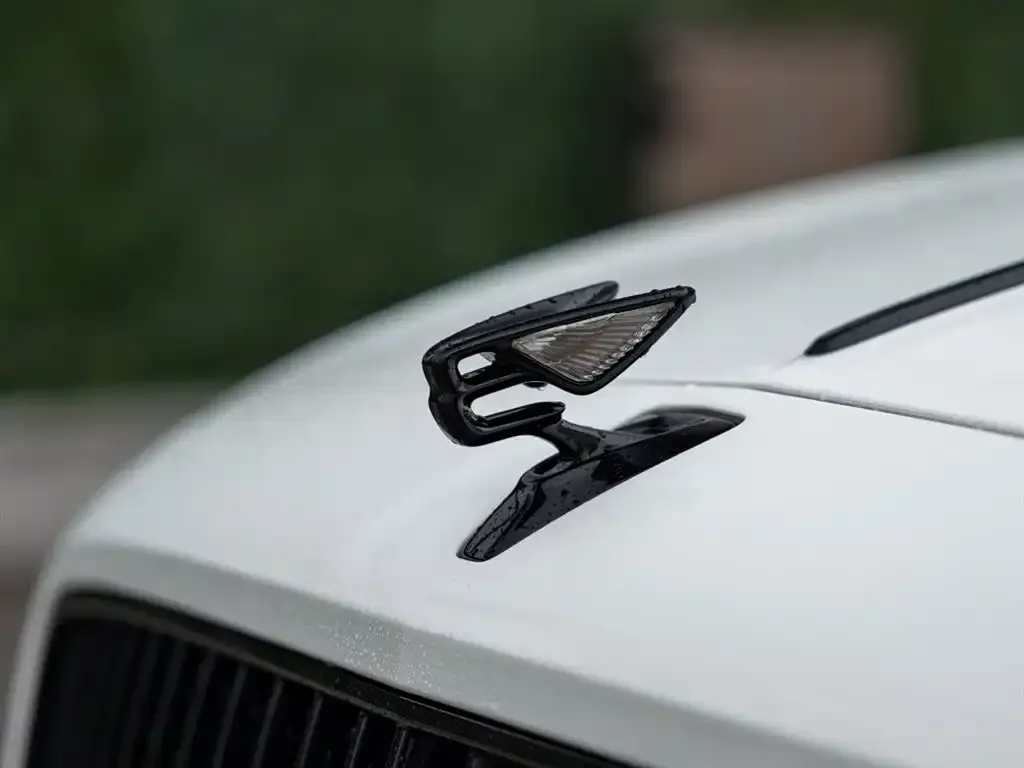 Bentley Flying Spur 2023 из CN, фото 2