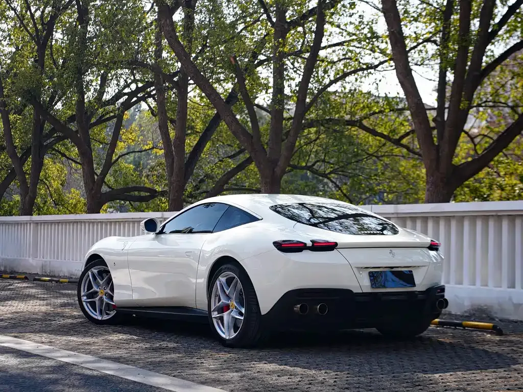Ferrari Roma 2021 из CN, фото 7