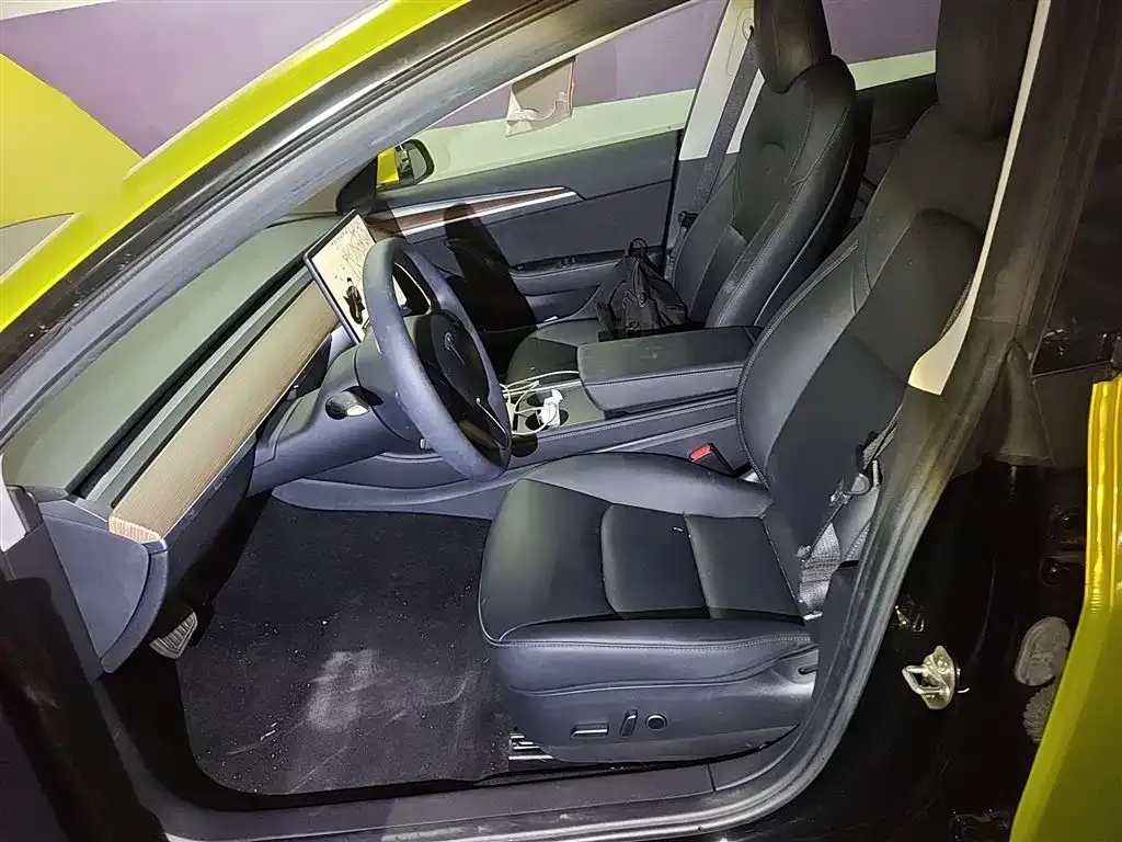 Tesla Model 3 2021 из CN, фото 7