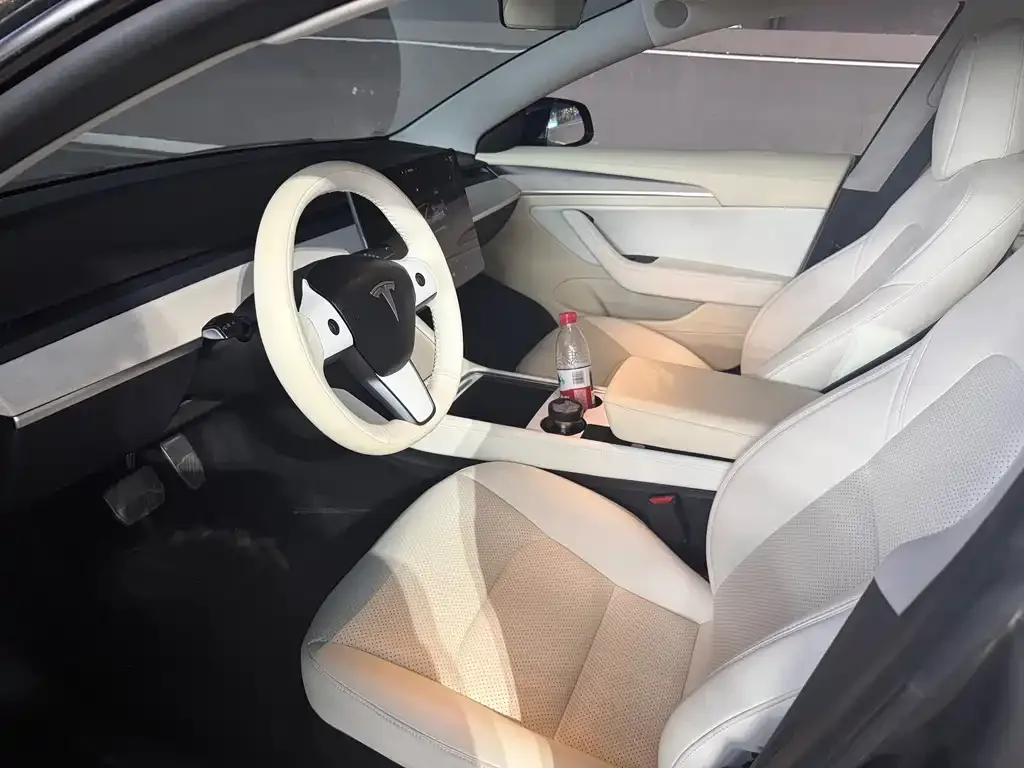 Tesla Model 3 2023 из CN, фото 2