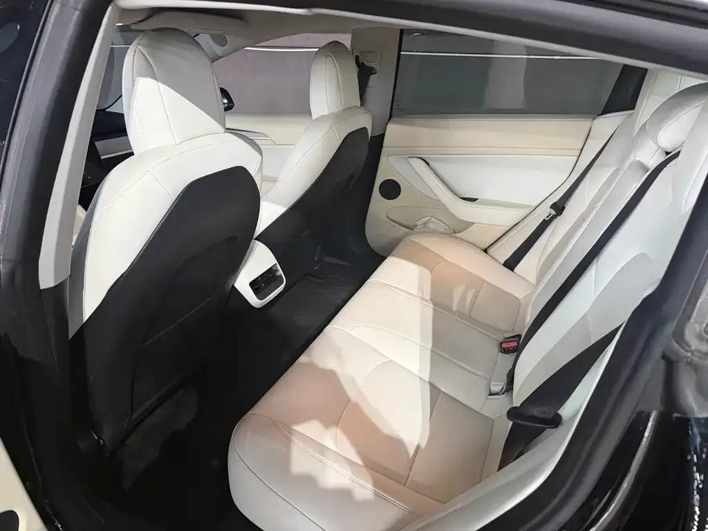 Tesla Model 3 2023 из CN, фото 3