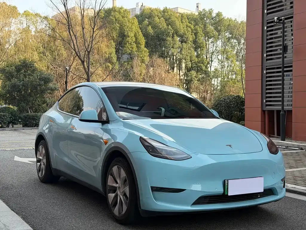 Tesla Model Y — фото 9