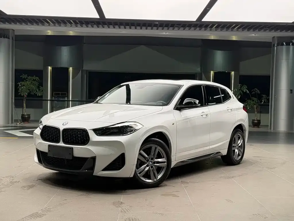 BMW X2 2023 из CN, фото 1