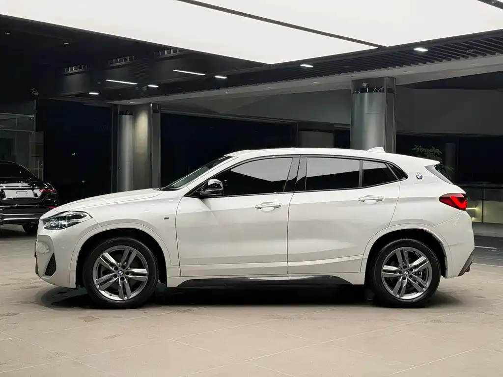 BMW X2 2023 из CN, фото 5